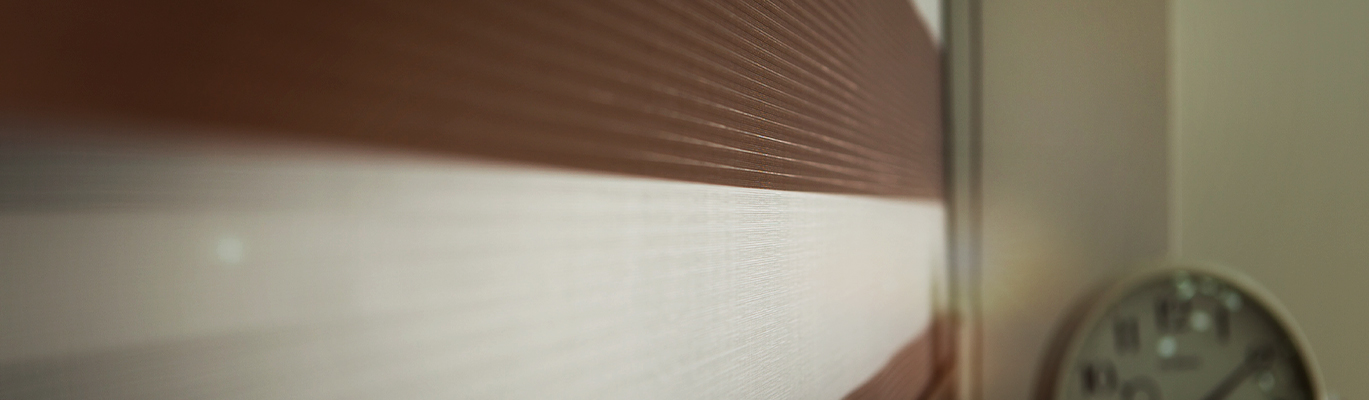 Combi Blinds (Zebra, Twins)